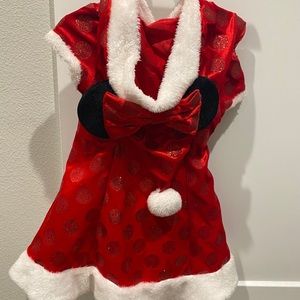 Little girls Christmas dress from Disneyland